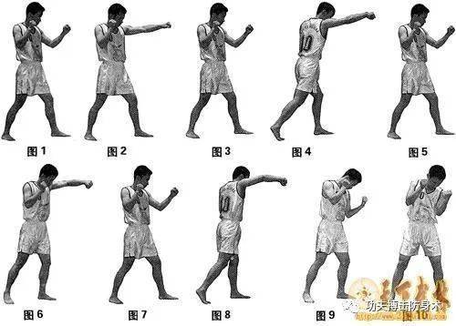 散打基本拳法和摔法