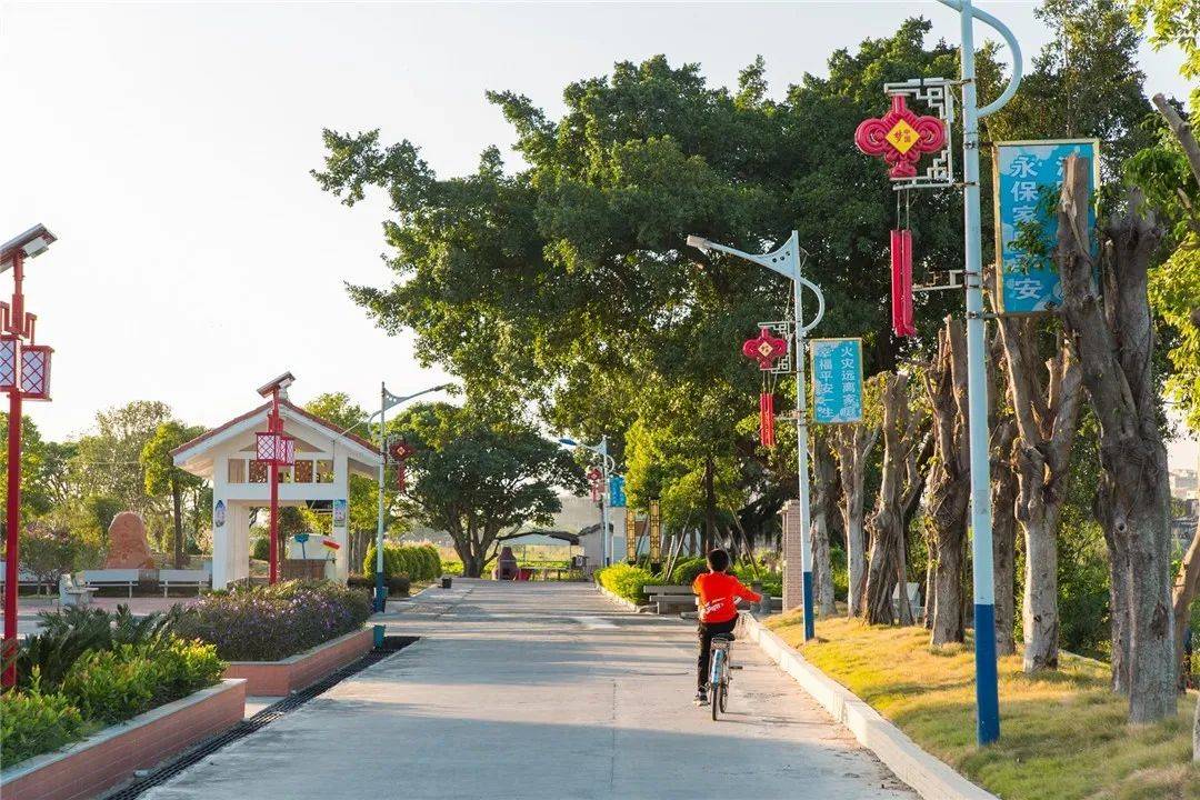 练江清家乡美美丽新南生态宜居走进军埠镇陇头新南村