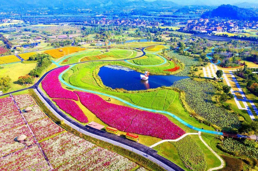 美出天际大径山乡村国家公园建设进展来啦