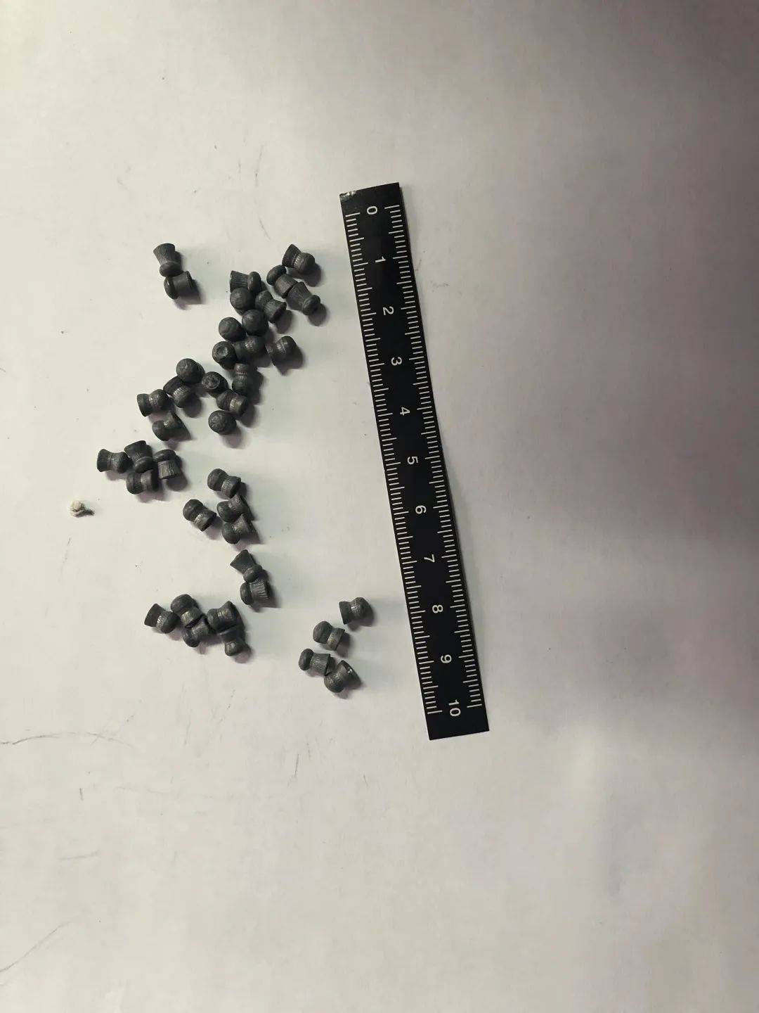 两把气枪40枚子弹以及被猎杀的麻雀等野生鸟类共15只人赃俱获王某等3