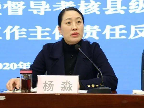 省政府教育总督学王恒斌,安康市政府副市长杨淼,以及汉滨区主要领导和