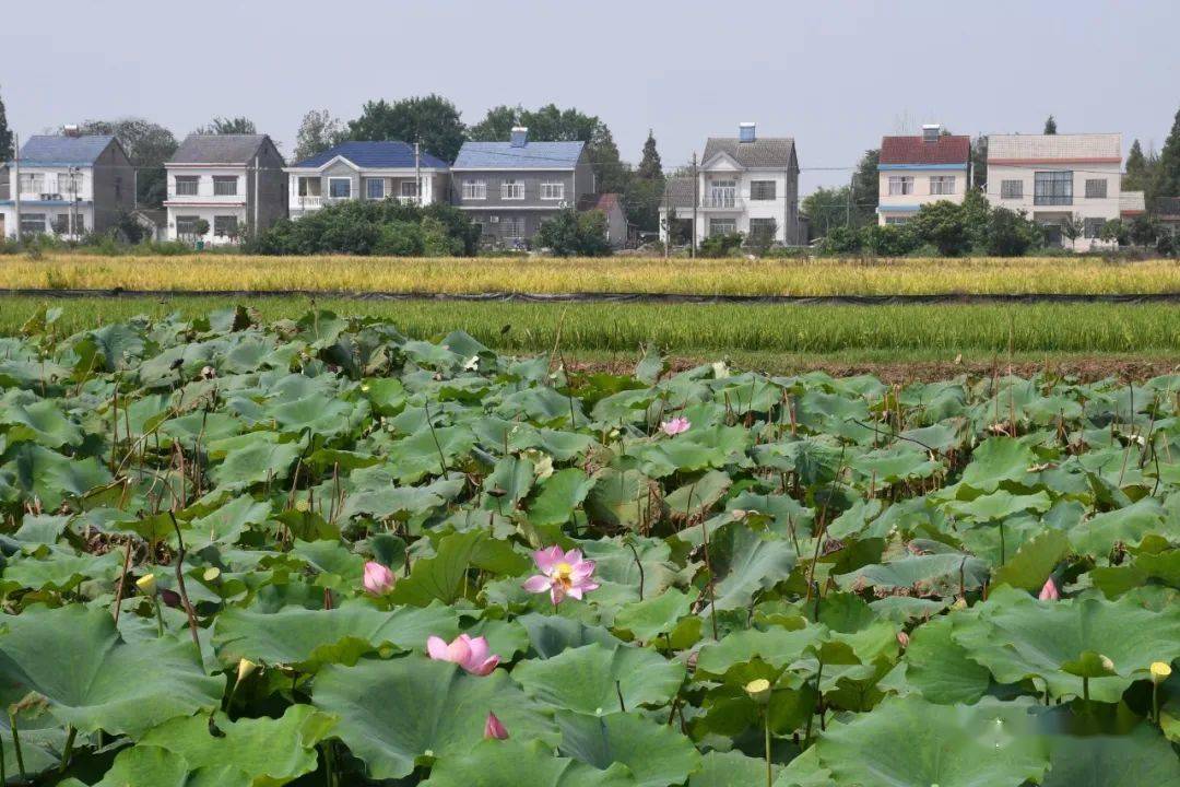 拼成一个温暖的故乡刘创新