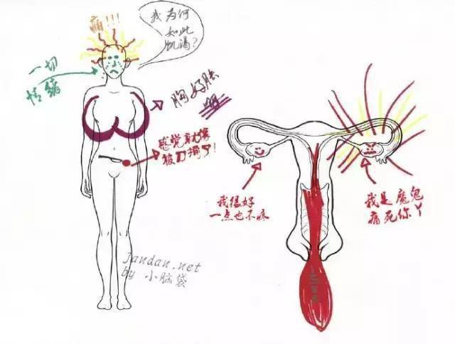 辽宁明年3月起实施痛经假_女性