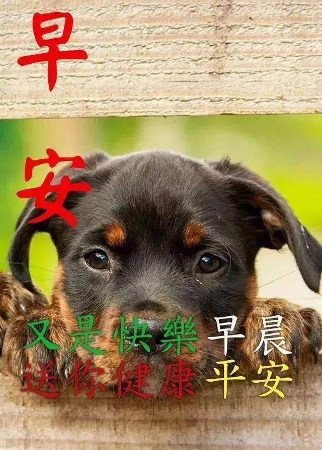 早安表情包祝您幸福天天相伴