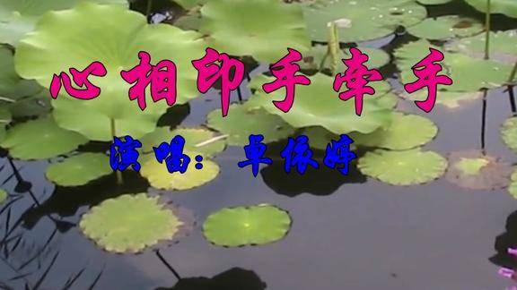 卓依婷一首经典情歌心相印手牵手好听极了