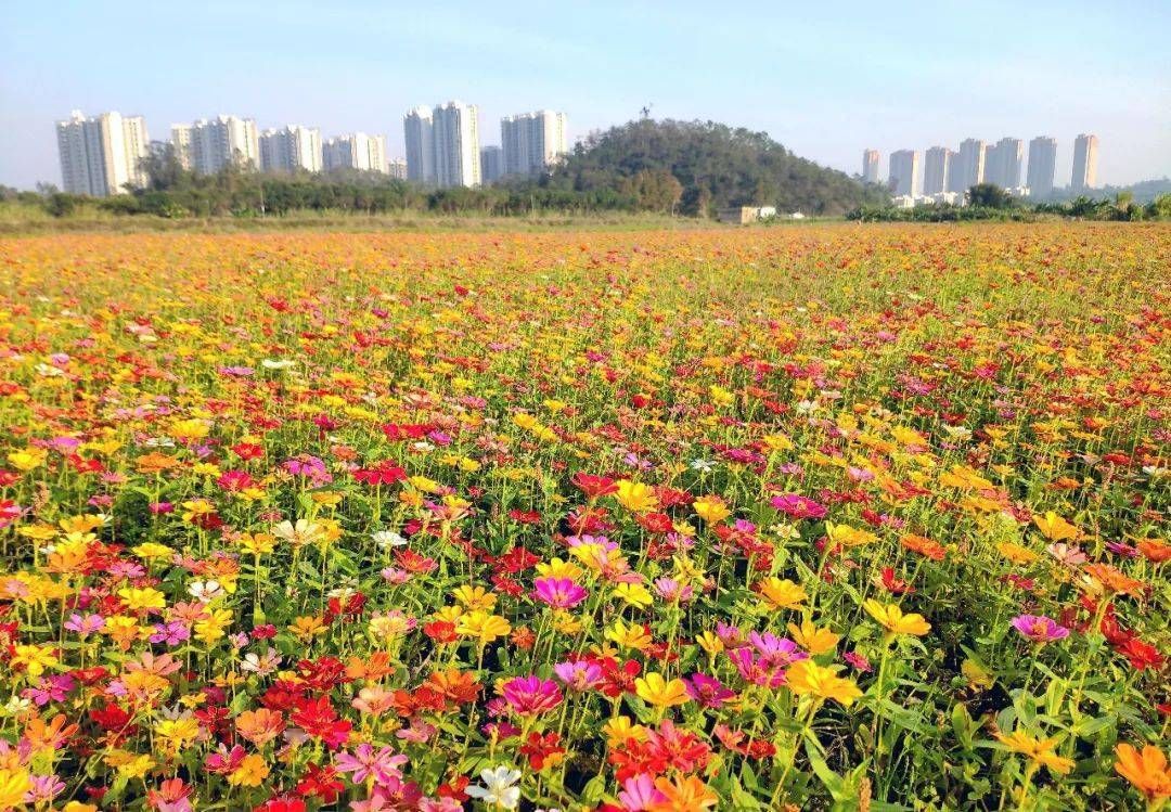 台山桂水打卡地图片