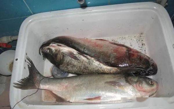 冬钓选位有讲究高手绝不会披露这些地方才最藏鱼别放过