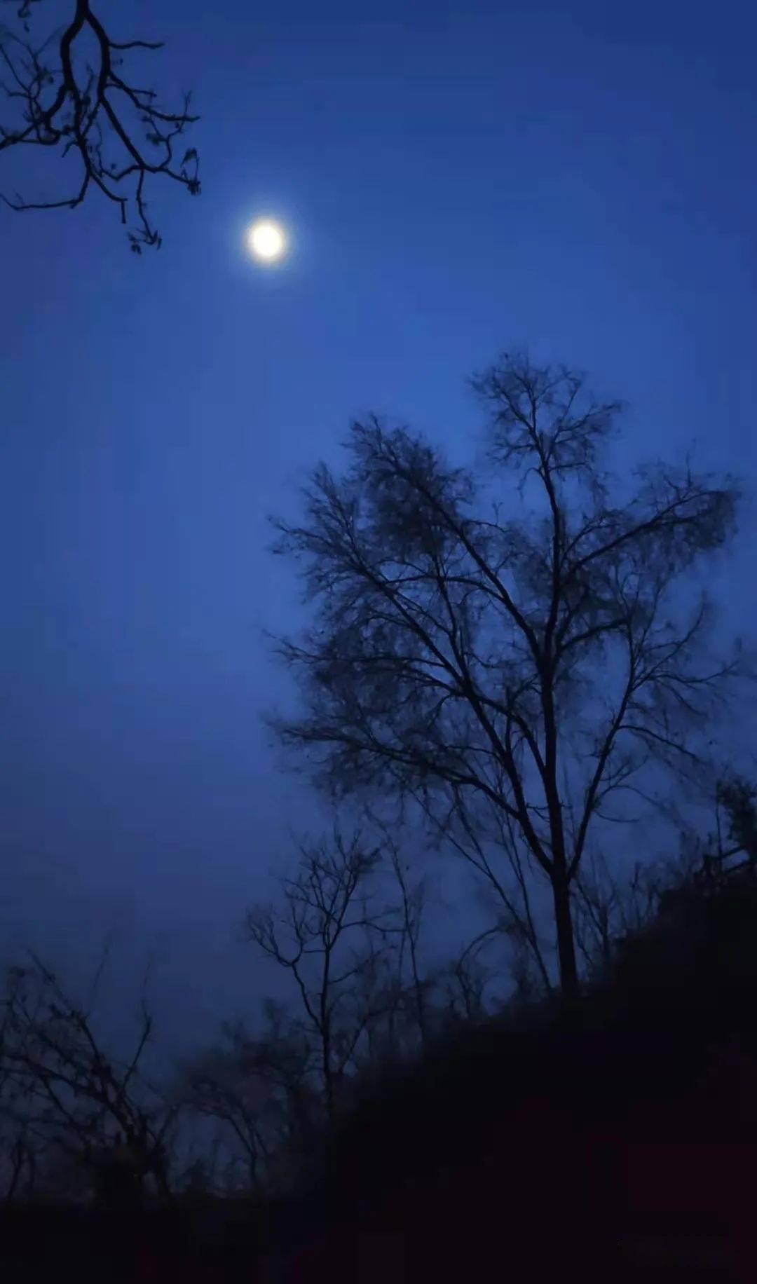 《村山月夜》谷强国 摄