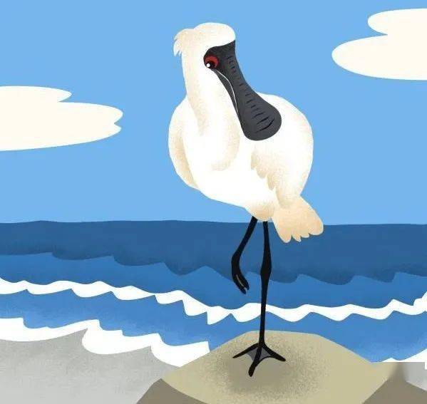 元旦给孩子送这个礼物发朋友圈被疯狂要链接省钱又省心