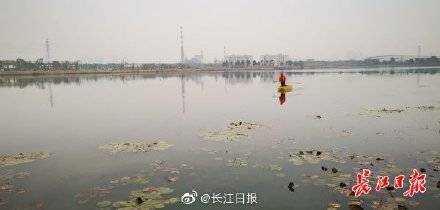 万家湖变身美丽大公园，武汉又建成两座新公园