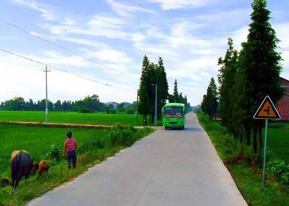 要修路了村村通後農村公路再迎5大升級你們村路修了嗎