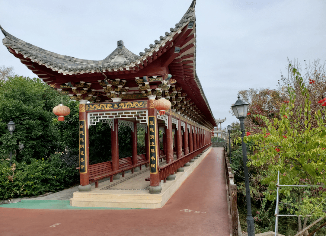 喜报北白象镇樟湾村荣获浙江省卫生村