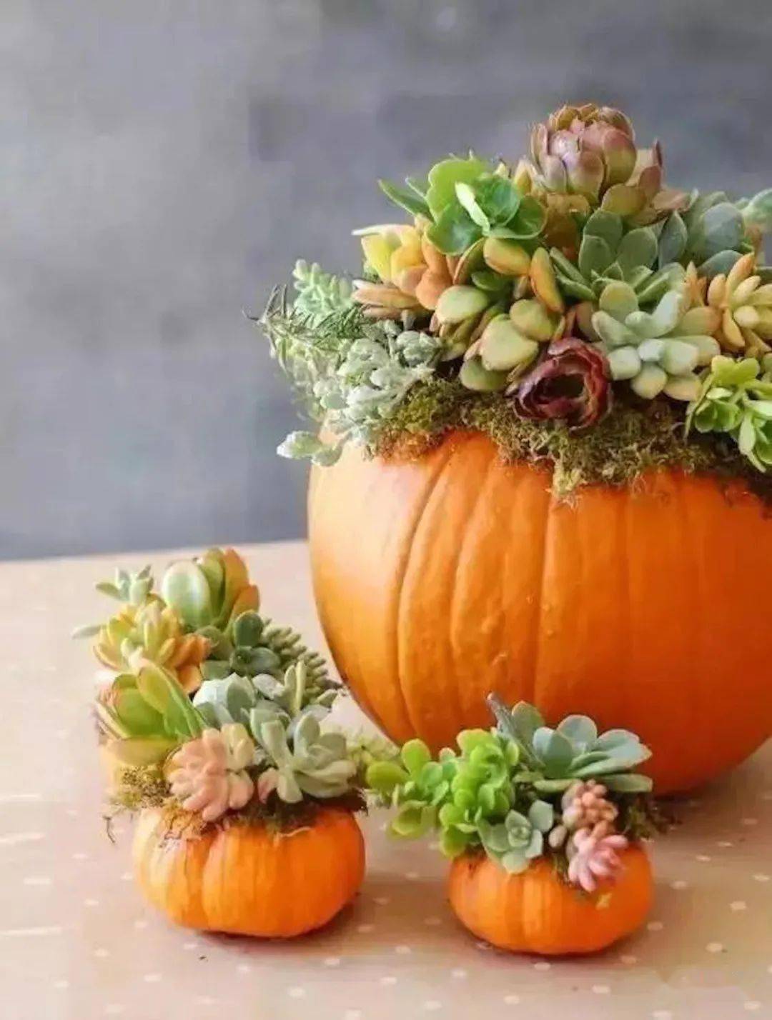 赏花去好吃好看的果蔬插花