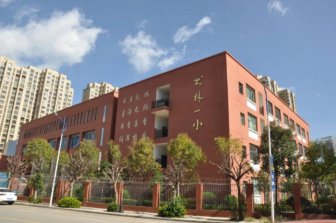 采访之前,就得知严冰校长从1988年至2020年,一直深耕于西山区书林第二