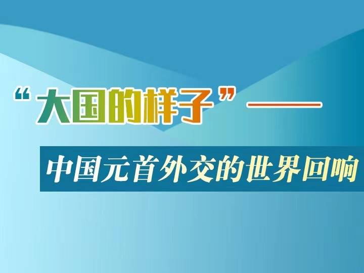 大国的样子2020年中国元首外交的世界回响