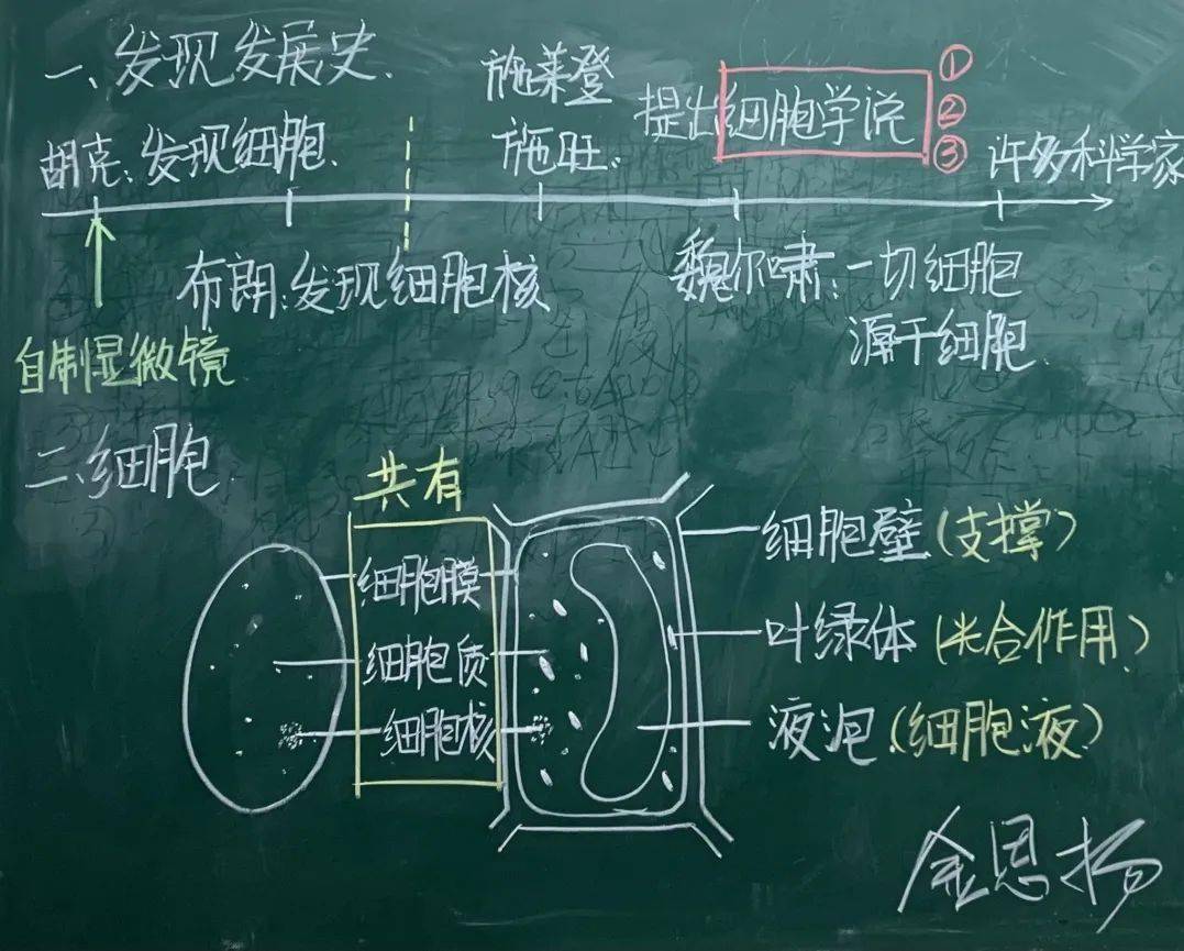我手写我心知识化于形杭州银湖实验中学科学组教师板书大赛