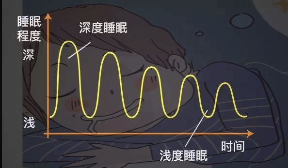 当晚上睡觉的时候,我们会在深度睡眠和浅度睡眠之间交替进行.