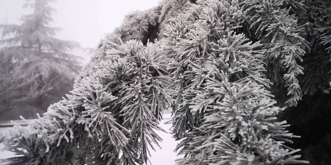 雪绣仙山!花果山惊艳今冬的冰雪奇缘!_雪花