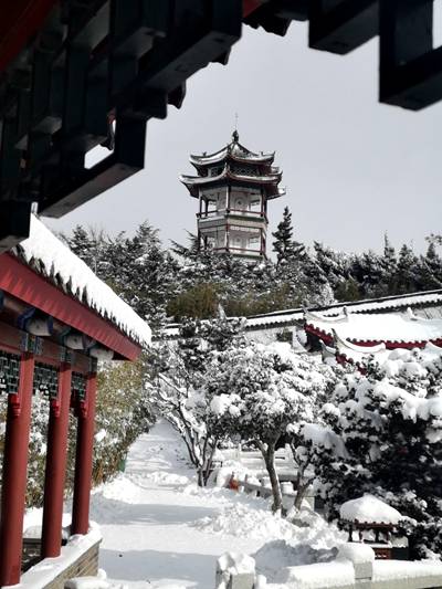 银装素裹雪后烟台小蓬莱美如仙境