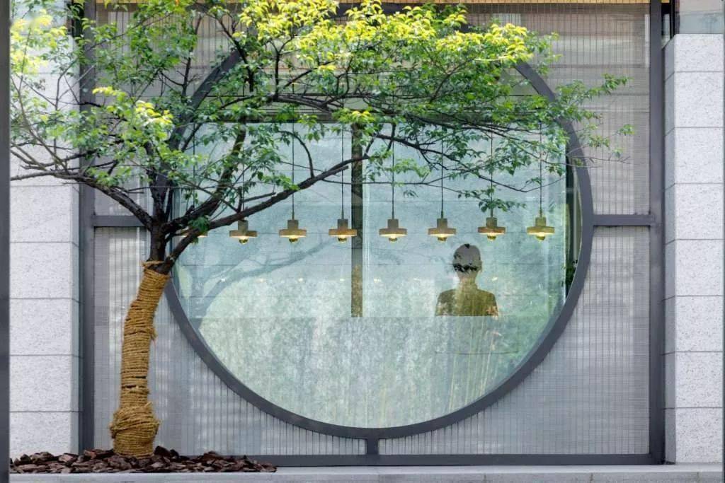 惊艳庭院中的漏景