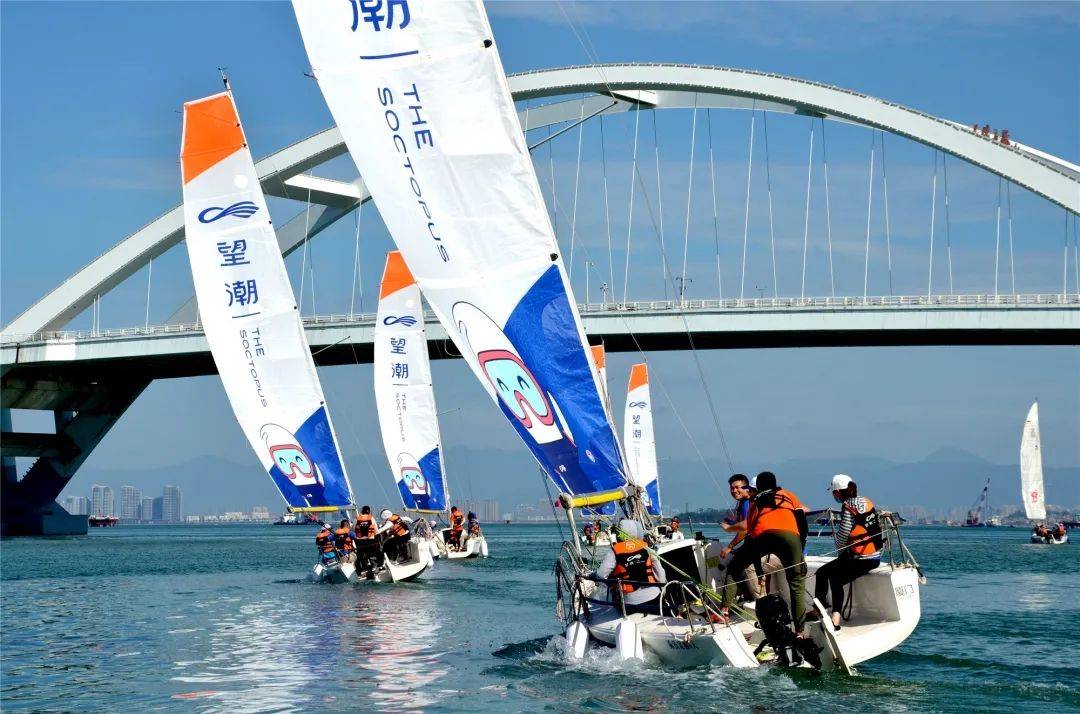 护航他们定时检修帆船设备体验乘风破浪的乐趣他们带领游客扬帆五缘湾