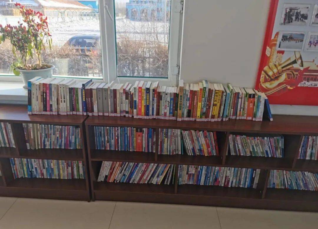 七台河市勃利县图书馆开展春风化雨阅你同行乡村志愿行送书下乡活动