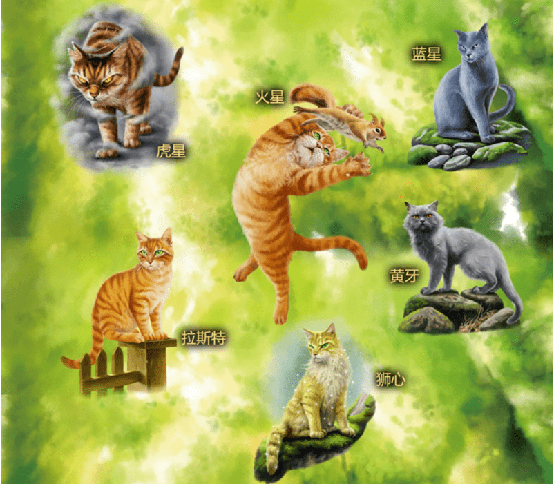 猫武士 雷族族谱图片