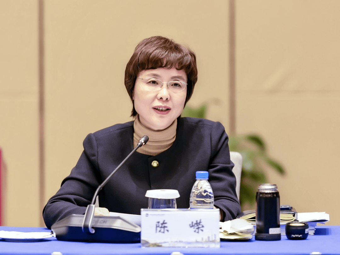 陈嵘:坚定不移推动全面从严治党向纵深发展!