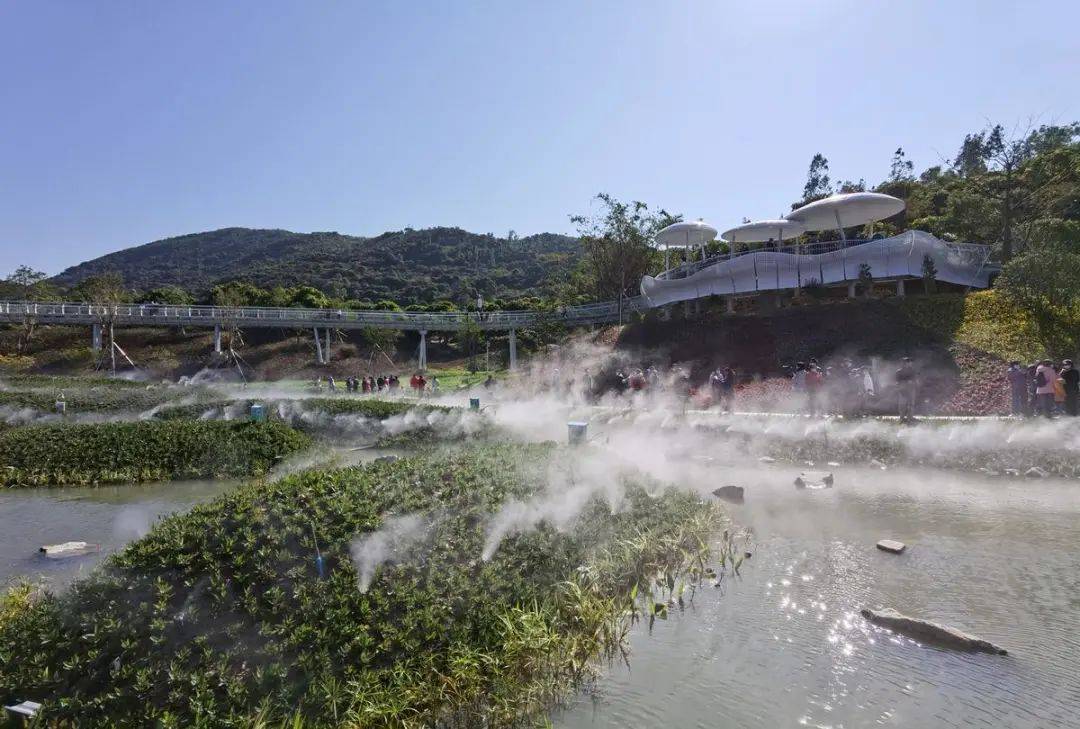 金湾又多一处打卡点,木头冲鹤道今天正式开放啦!_三灶镇