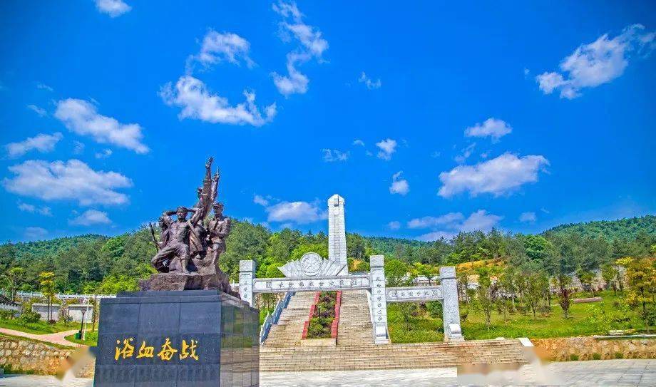 【"我们的十三五"组图】金井镇"四驾马车"驱动乡村振兴发展