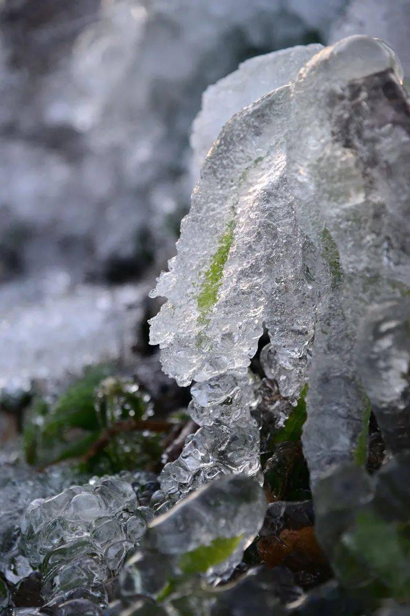凤凰山,有结冰!