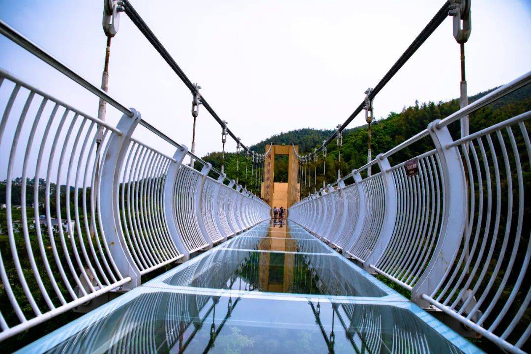 宜春明月山玻璃桥图片