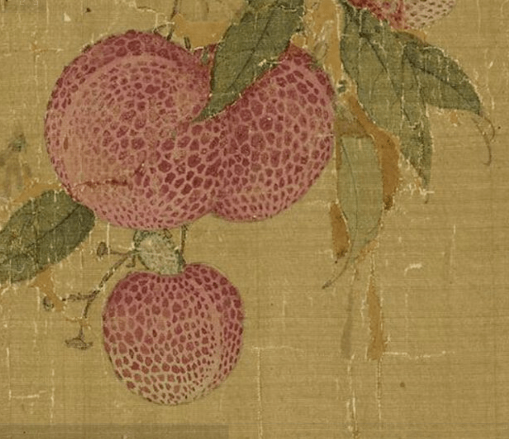 一骑红尘妃子笑看看宋徽宗笔下的荔枝图