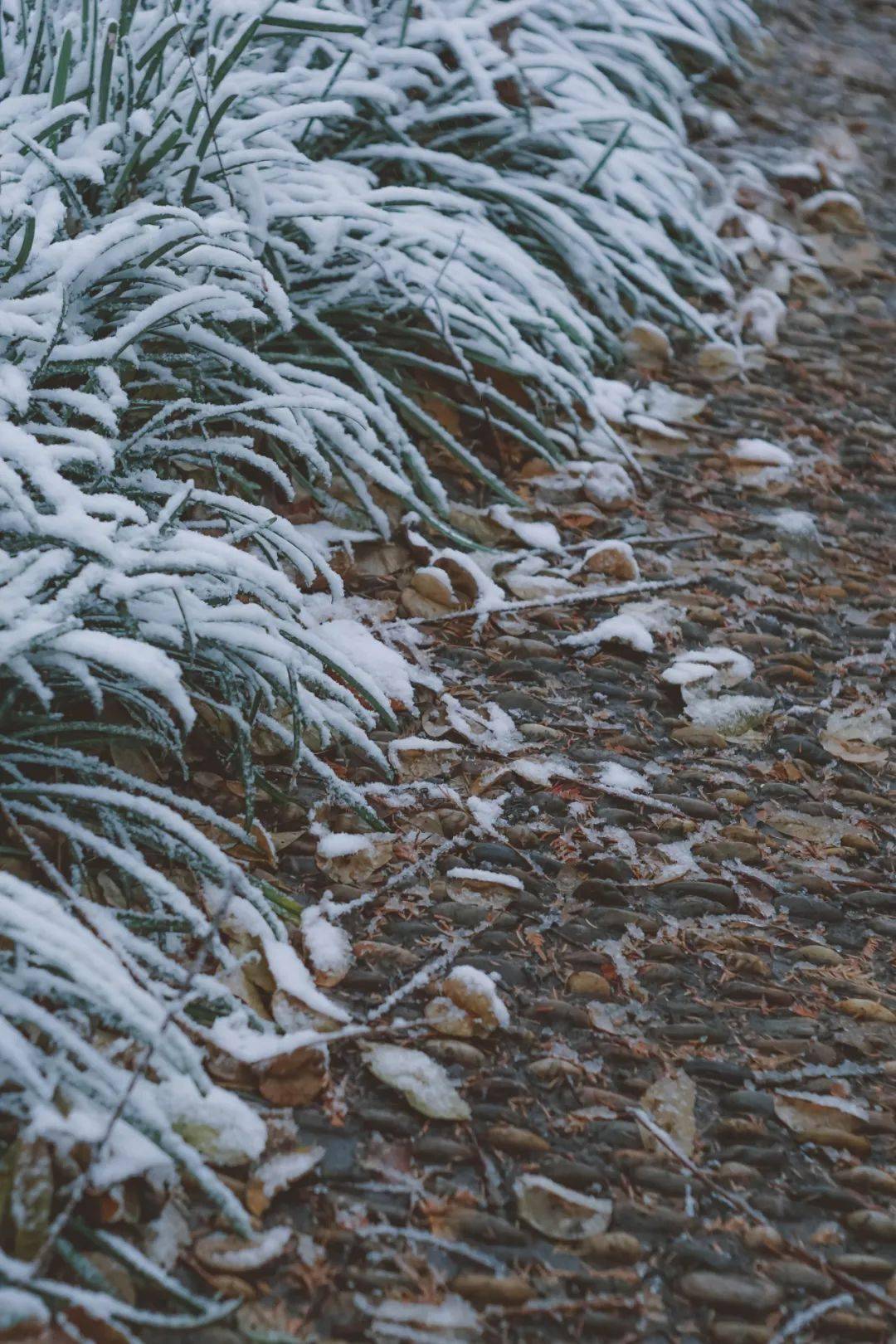 河海大雪美