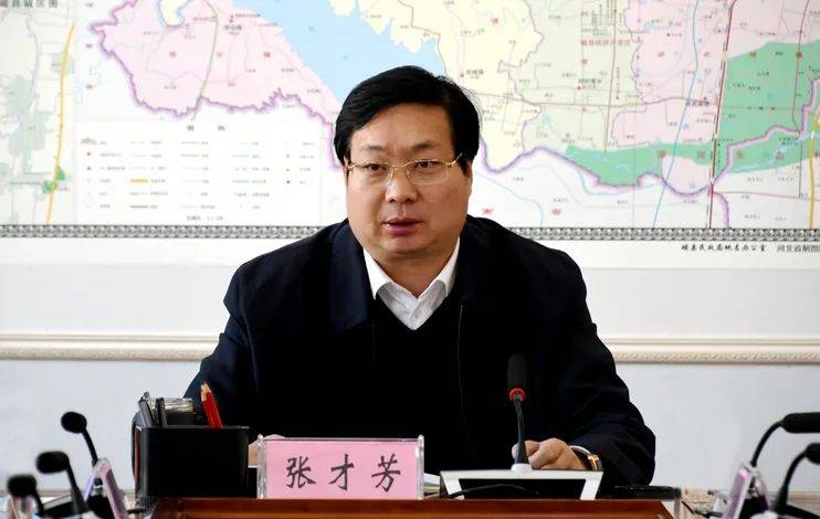 县委书记张才芳专题听取全域旅游总体发展规划汇报