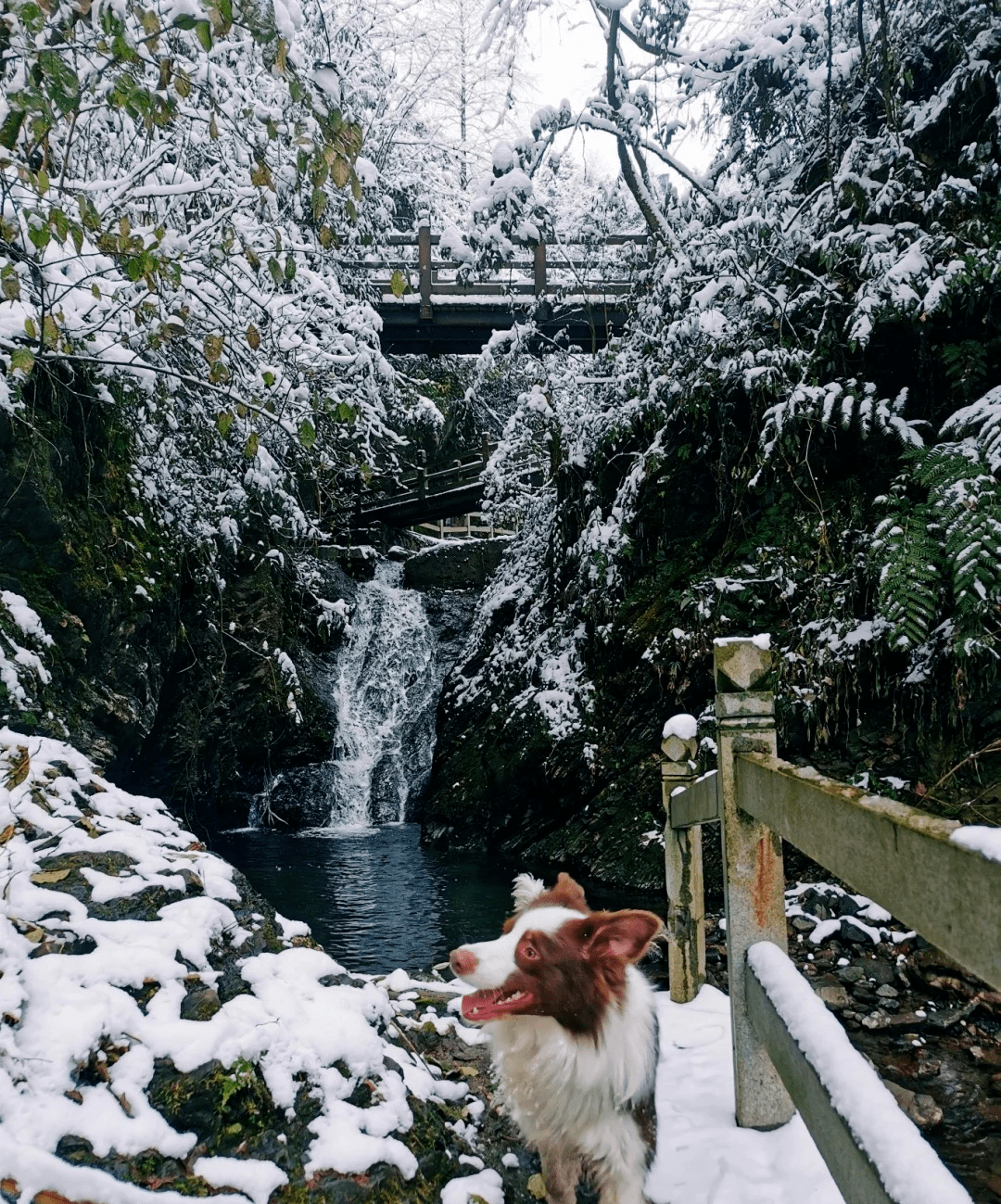 神瀑沟旅游景区雪景图片