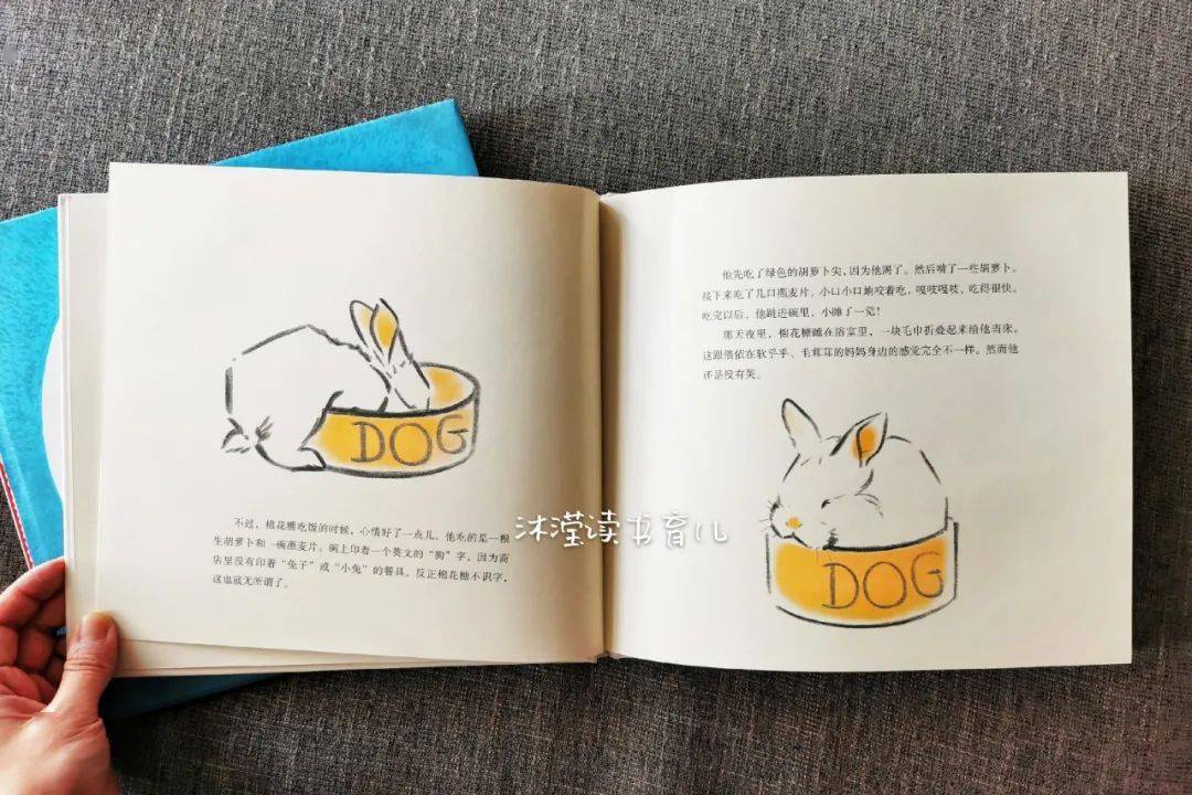 从图画上来看,《棉花糖兔子》的图画信息并没有《小房子》那么丰富