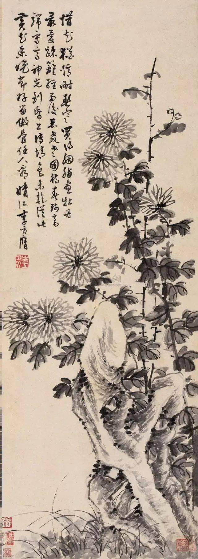 徐湛写意菊花作品欣赏图片