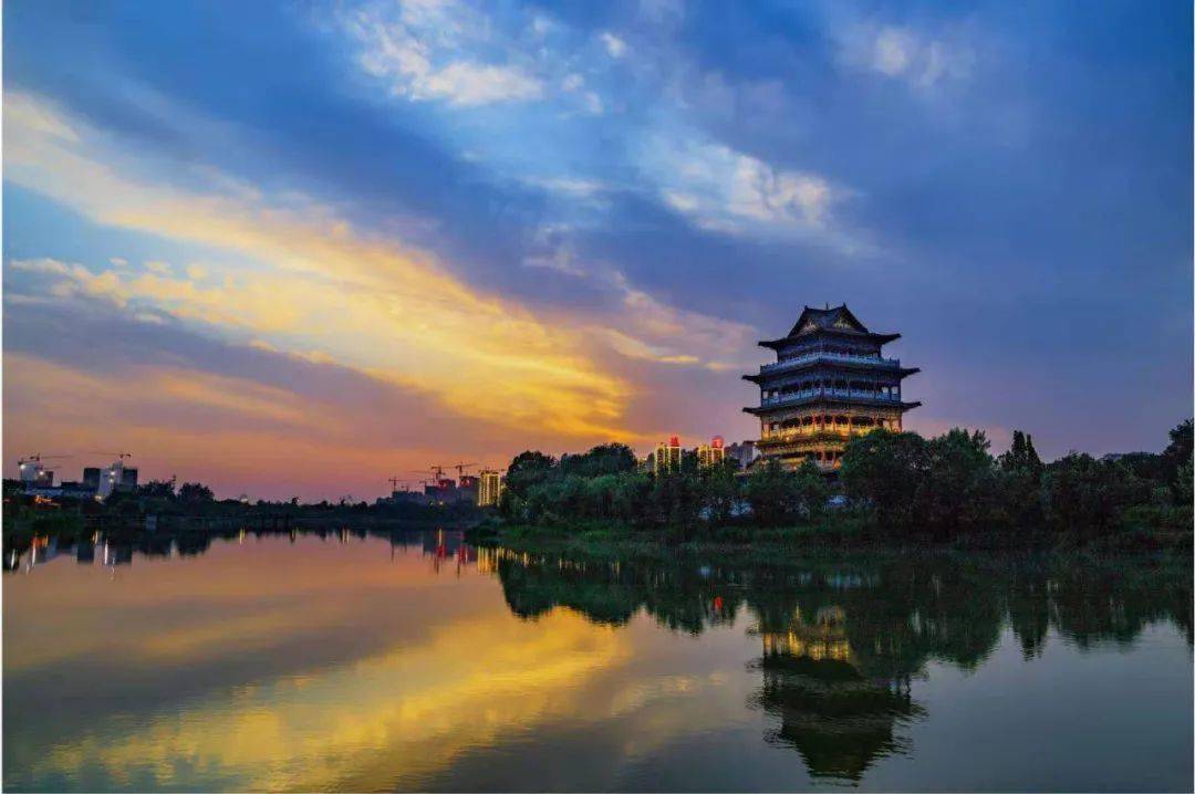 回望2020丨宁津我们一起走过的四季