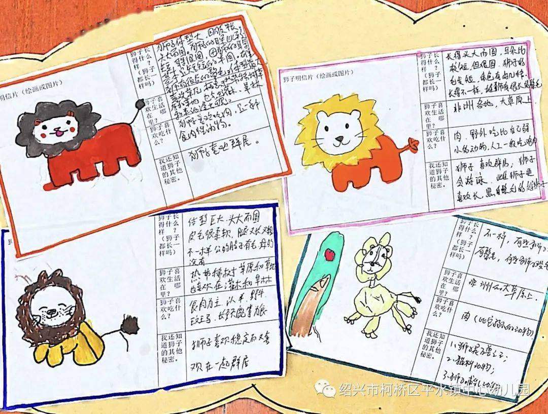 我们和爸爸妈妈调查了狮子的很多秘密,我们还自己动手来画一画,做一做