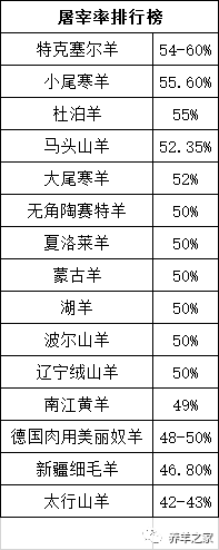 年底养卖羊高峰,你应该学一点羊的屠宰知识!_胴体