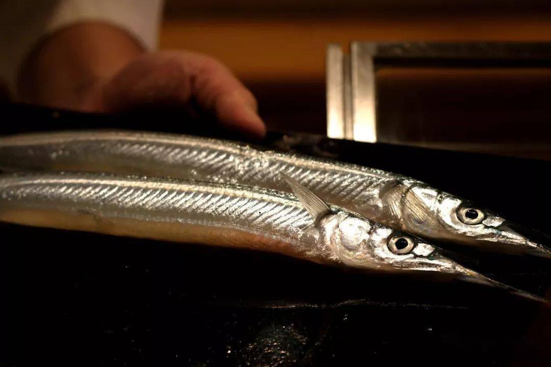 静冈的「成生」上来并不使用常规的虾,而是非常少见的太刀鱼,随后更是