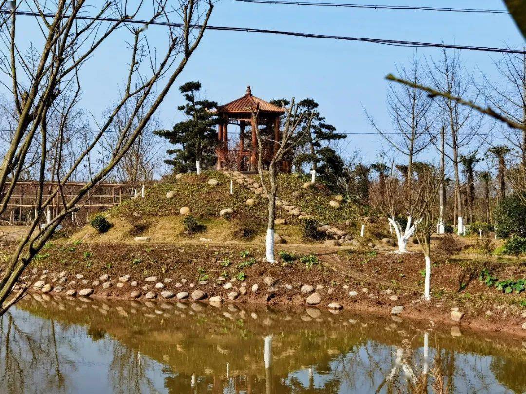 家中富余农副产品的农户,有一技之长的村民,都可以来月湖村畔生态园的