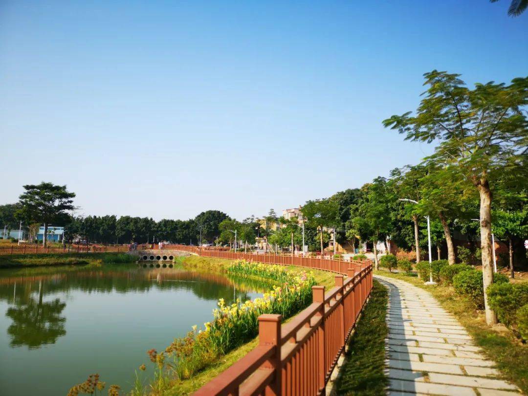 钟村街坊假日不用出远门番禺本地就有打卡点