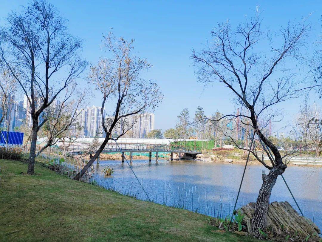 高明滨河公园图片