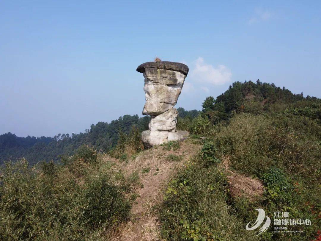 江津的"花卉小镇"_杜市镇