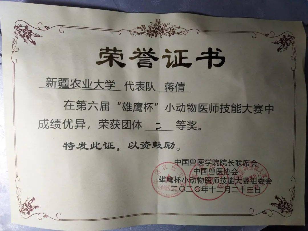 喜讯|祝贺新疆农业大学动物医学学院荣获第六届"雄鹰杯"小动物医师