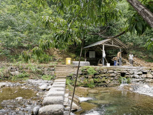 临安区新时代美丽乡村建设成果展(一)——湍口镇桐坑村