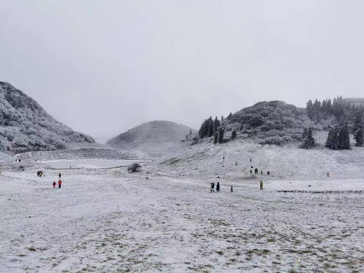金佛山冰雪旅游受青睐 元旦假期接待游客同比增长近一倍