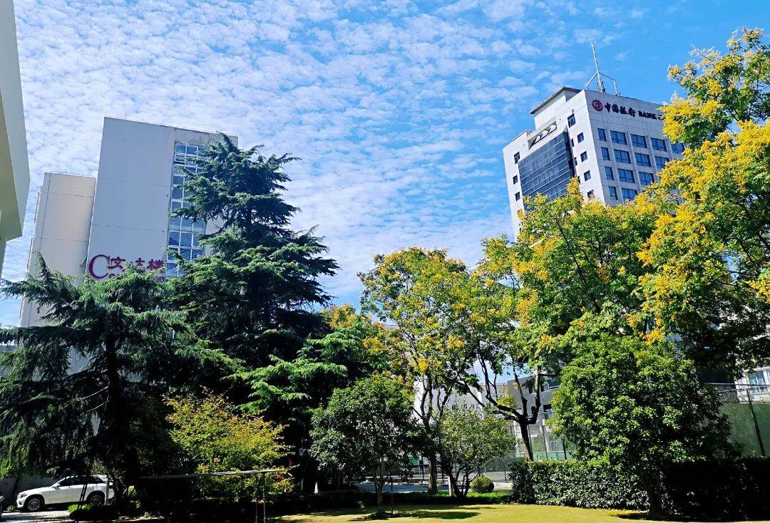 悉尼工商学院2021年悉尼科技大学学士学位本科项目和上海大学国际本科